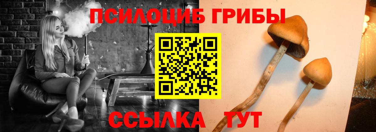 Псилоцибиновые грибы прущие грибы  Вход с VPN  Иркутск 